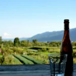 Wine & Gourmet Experiences New Zealand