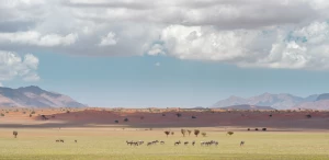 South Africa tour packages from India