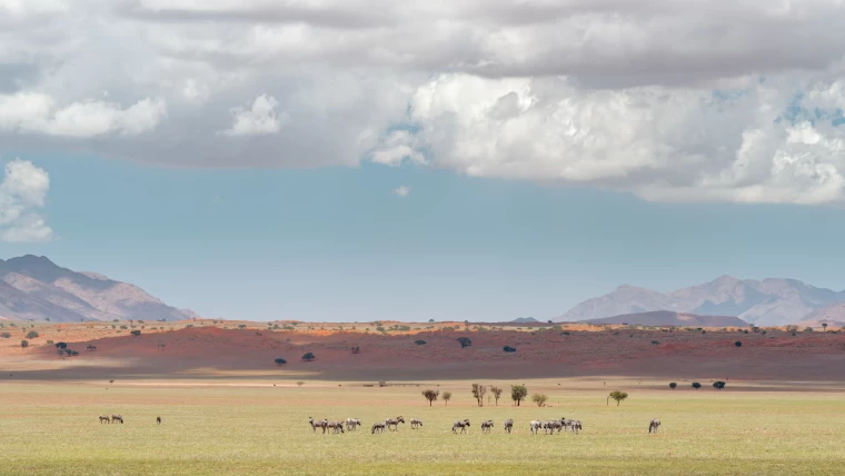 South Africa tour packages from India